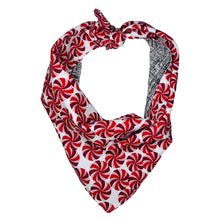 Load image into Gallery viewer, Peppermint Dream Reversible Pet Bandana
